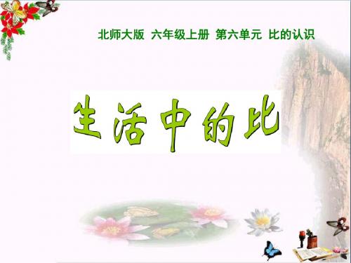 六年级数学上册第六单元生活中的比ppt课件3北师大版