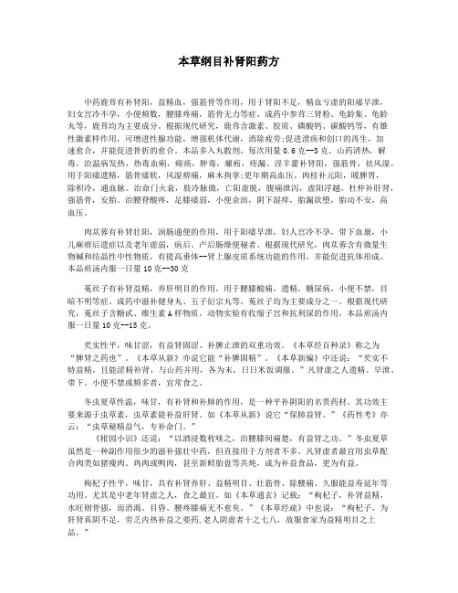 本草纲目补肾阳药方
