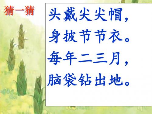新版一年级下册《2、春笋》课件 PPT资料共16页