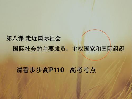 高中政治课件-新人教版高中思想政治必修2《第八课走进国际社会》课件 最新