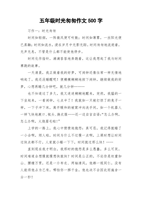 五年级时光匆匆作文500字_作文
