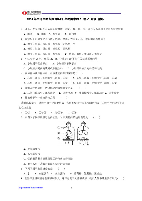 2014年中考生物专题训练四 生物圈中的人 消化 呼吸 循环