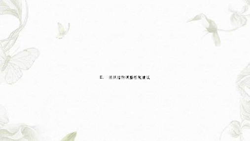 组织结构调整框架建议课件