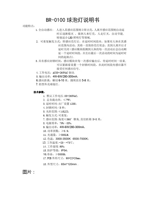 BR-0100LED球泡灯说明书