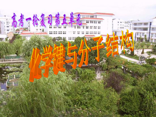 高考化学一轮复习化学键