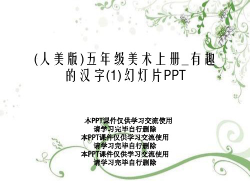 (人美版)五年级美术上册_有趣的汉字(1)幻灯片PPT