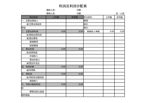 利润及利润分配表格
