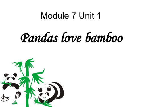《Pandas love bamboo》PPT课件3