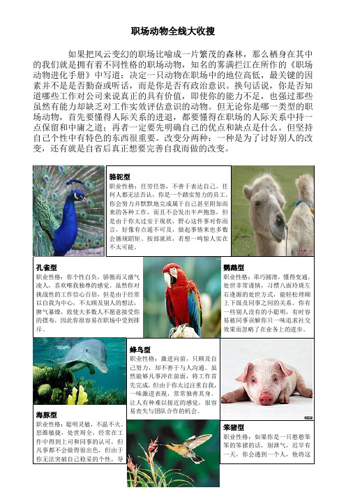 职场动物全线大收搜
