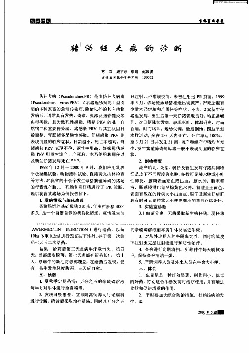 猪伪狂犬病的诊断