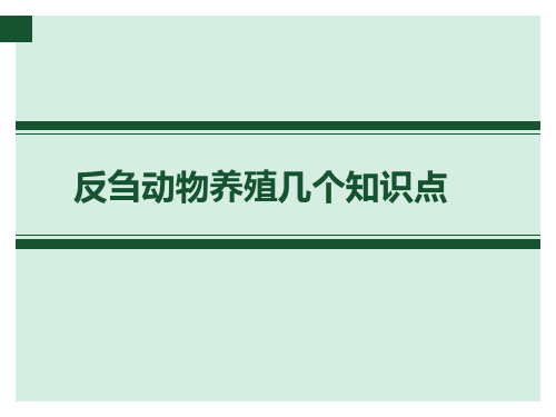 反刍知识点t PowerPoint 幻灯片