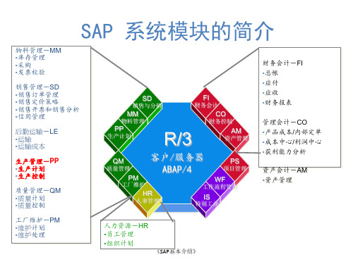 《SAP基本介绍》课件