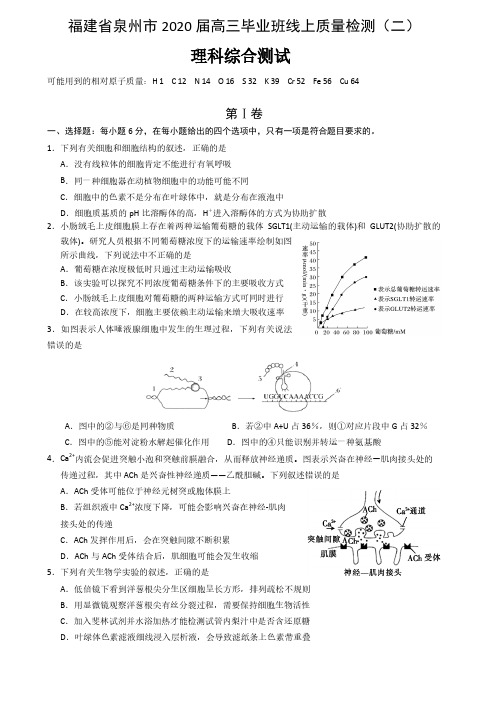 福建省泉州市2020届高三毕业班适应性线上测试(二)理综试题  含解析