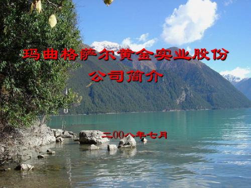 格萨尔公司简介新