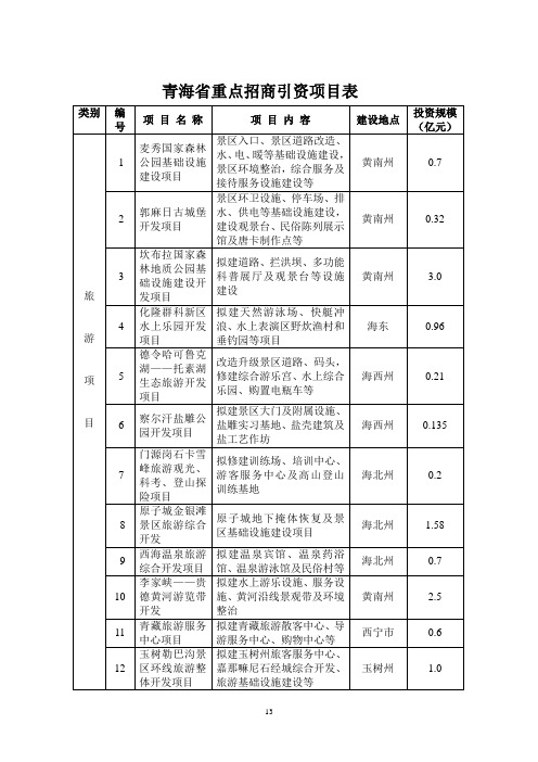 青海省重点招商引资项目表