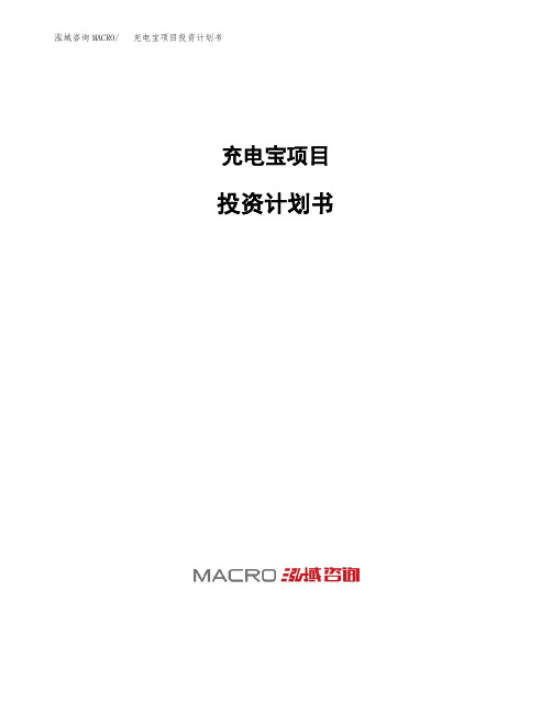 充电宝项目投资计划书
