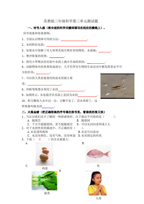 苏教版三年级科学上册第三单元测试题