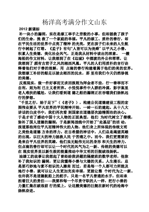 高考作文之杨洋高考满分作文山东