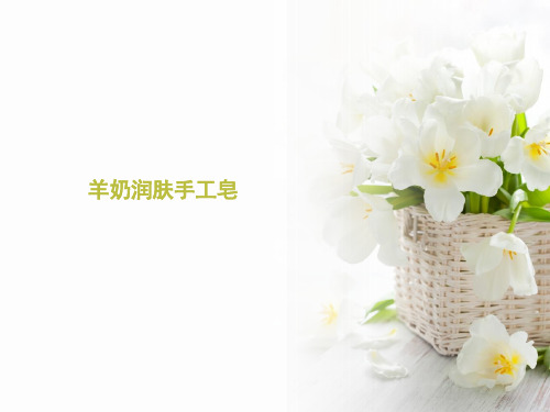 (2021)羊奶润肤手工皂完美版PPT
