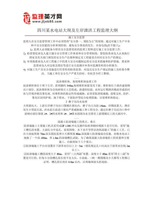 四川某水电站大坝及左岸泄洪工程监理大纲