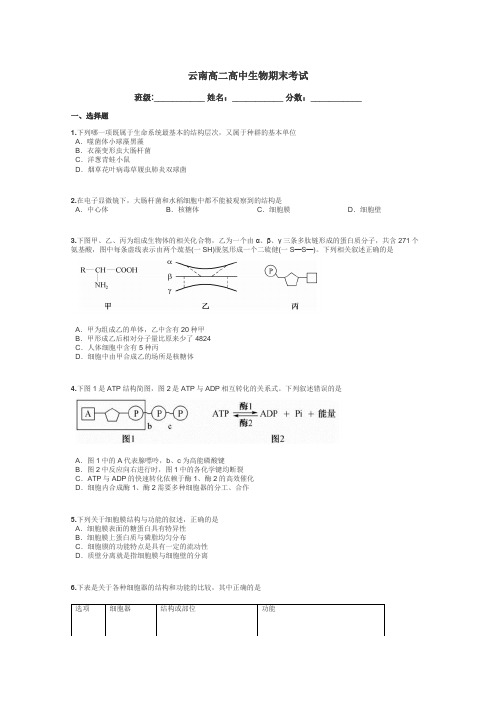云南高二高中生物期末考试带答案解析
