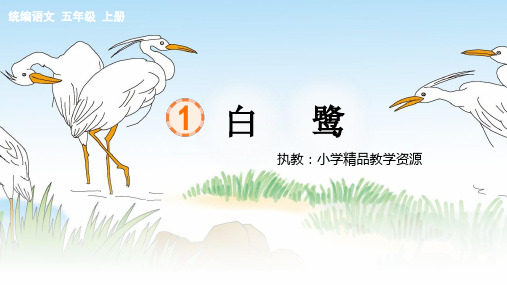 统编五上《白鹭》公开课PPT课件
