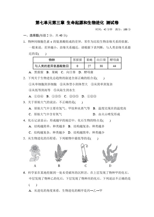 人教版生物八年级下册第七单元第三章 生命起源和生物进化 测试卷(含答案)