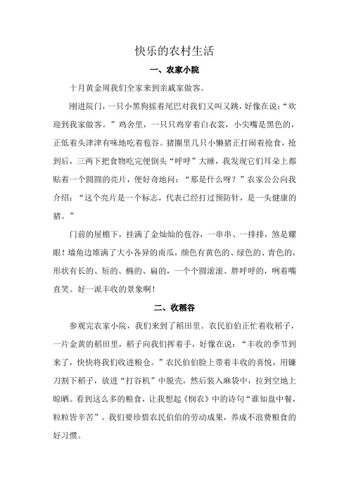 快乐的农村生活(小学生四年级优秀作文)