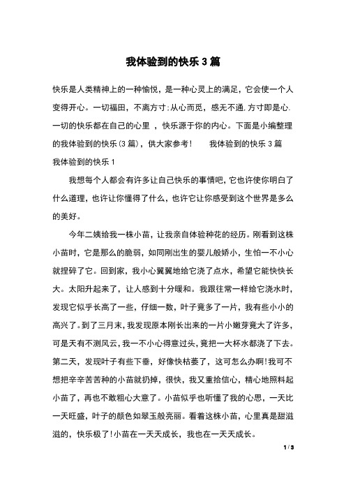 我体验到的快乐3篇