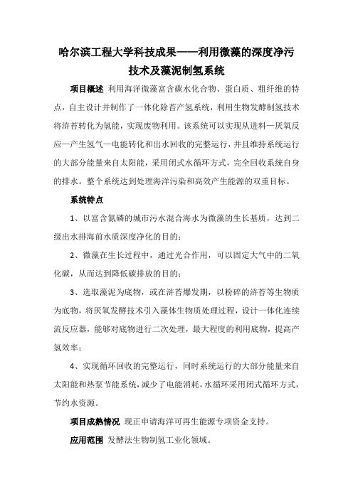 哈尔滨工程大学科技成果——利用微藻的深度净污技术及藻泥制氢系统