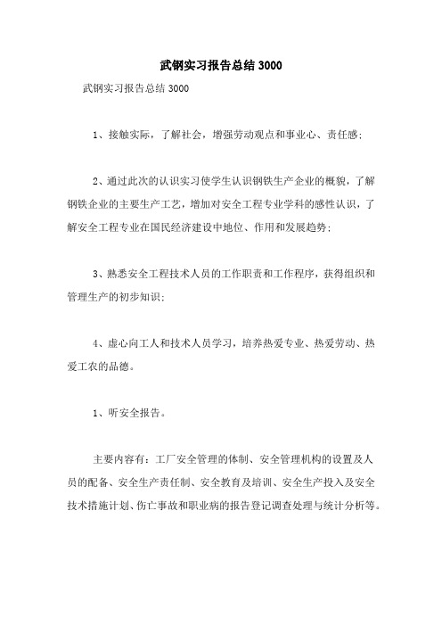 武钢实习报告总结3000