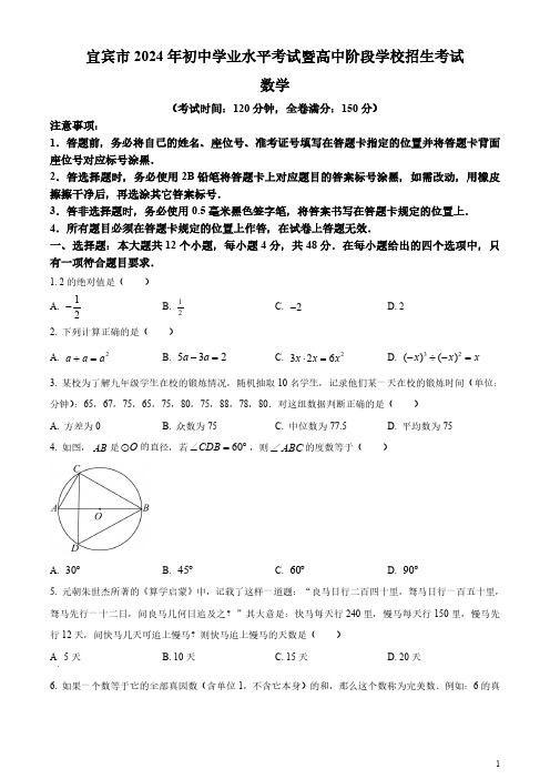 2024年四川省宜宾市中考数学试题(真题)