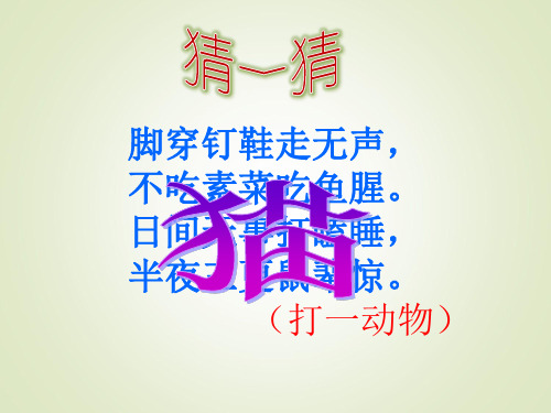 《猫》PPT课件