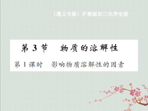 巩义市八中九年级化学全册 第6章 溶解现象 6.3 物质的溶解性 第1课时 影响物质溶解性的因素课件