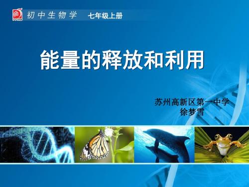 能量的释放和利用-教学课件
