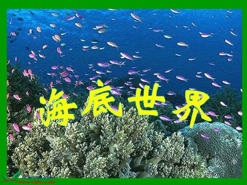 鄂教版三年级语文下册《海底世界》公开课课件