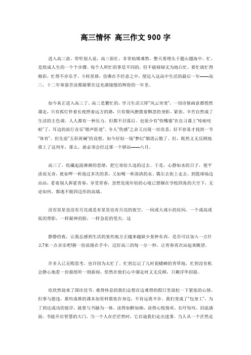 高三情怀 高三作文900字