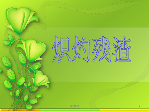 炽灼残渣检测