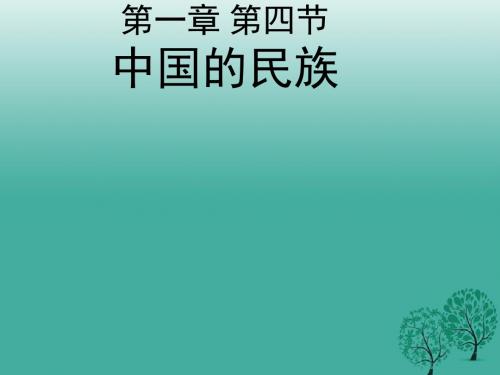 八年级地理上册1.4中国的民族课件 湘教版(上)