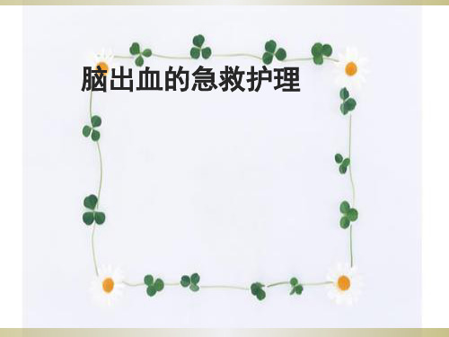 脑出血的急救拍PPT课件