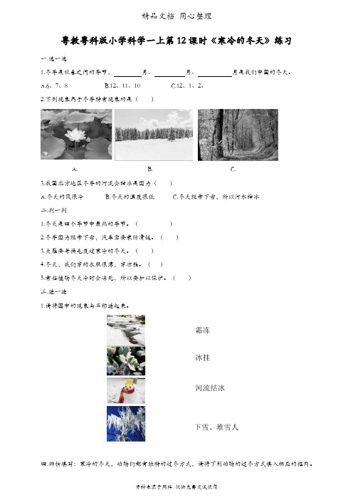 (新教材)粤教粤科版一年级上册科学 第12课 寒冷的冬天 课时练(同步练习)