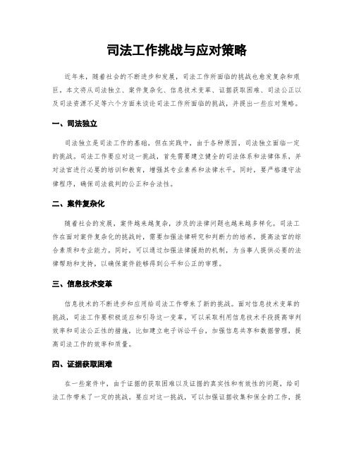 司法工作挑战与应对策略