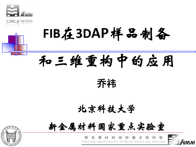 FIB介绍