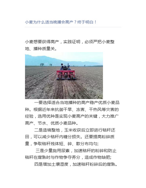 【农业】小麦为什么适当晚播会高产终于明白