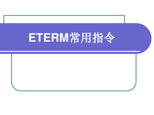 ETERM常用指令