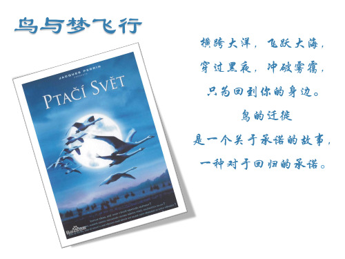 7.《大雁归来》(参考余映潮教学实录,有改动)