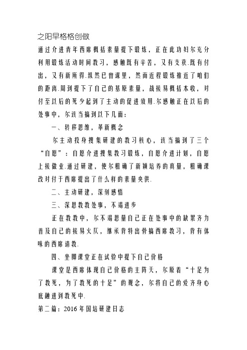 教师远程培训研修日志