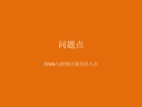 FEMA、控制计划书问题点