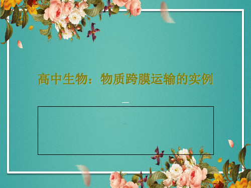 高中生物：物质跨膜运输的实例37页PPT