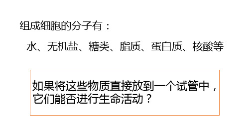 3.1 细胞膜的结构和功能 课件【新教材】人教版(2019)高中生物必修一